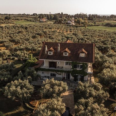 Villa Georgina B&B Katakolo Zewnętrze zdjęcie