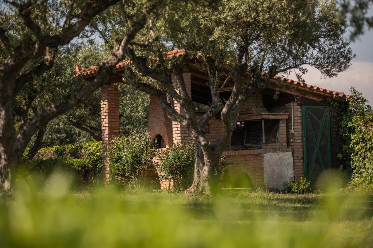 Villa Georgina B&B Katakolo Zewnętrze zdjęcie