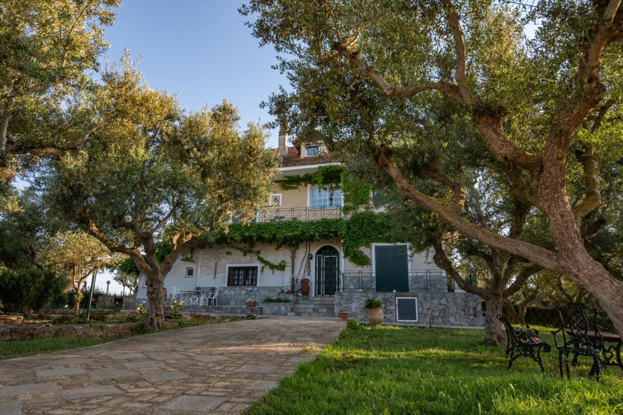 Villa Georgina B&B Katakolo Zewnętrze zdjęcie