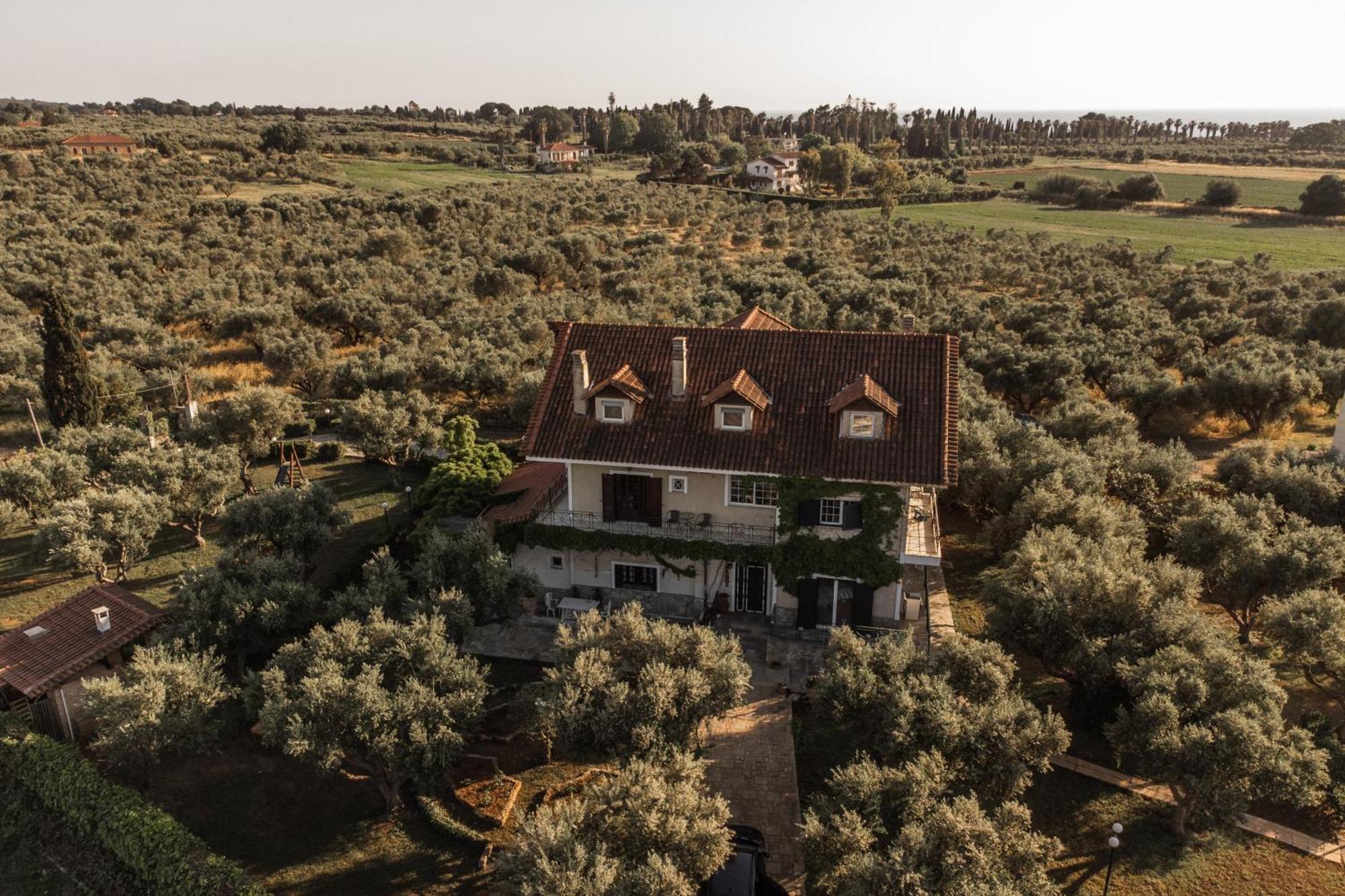 Villa Georgina B&B Katakolo Zewnętrze zdjęcie